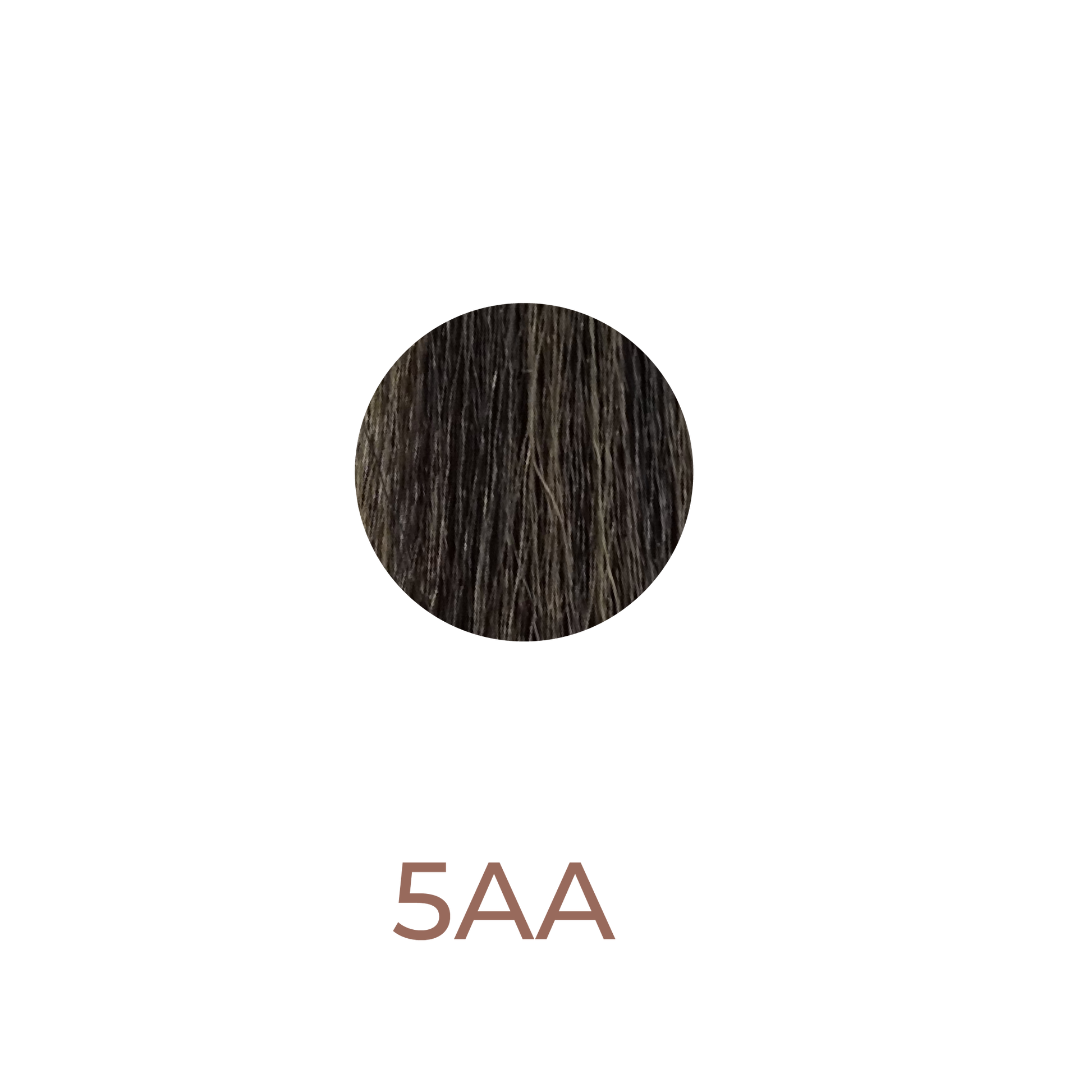 CHI Ionic Permanent Shine hair colours 5AA Medium Ash Brown | Lika-J