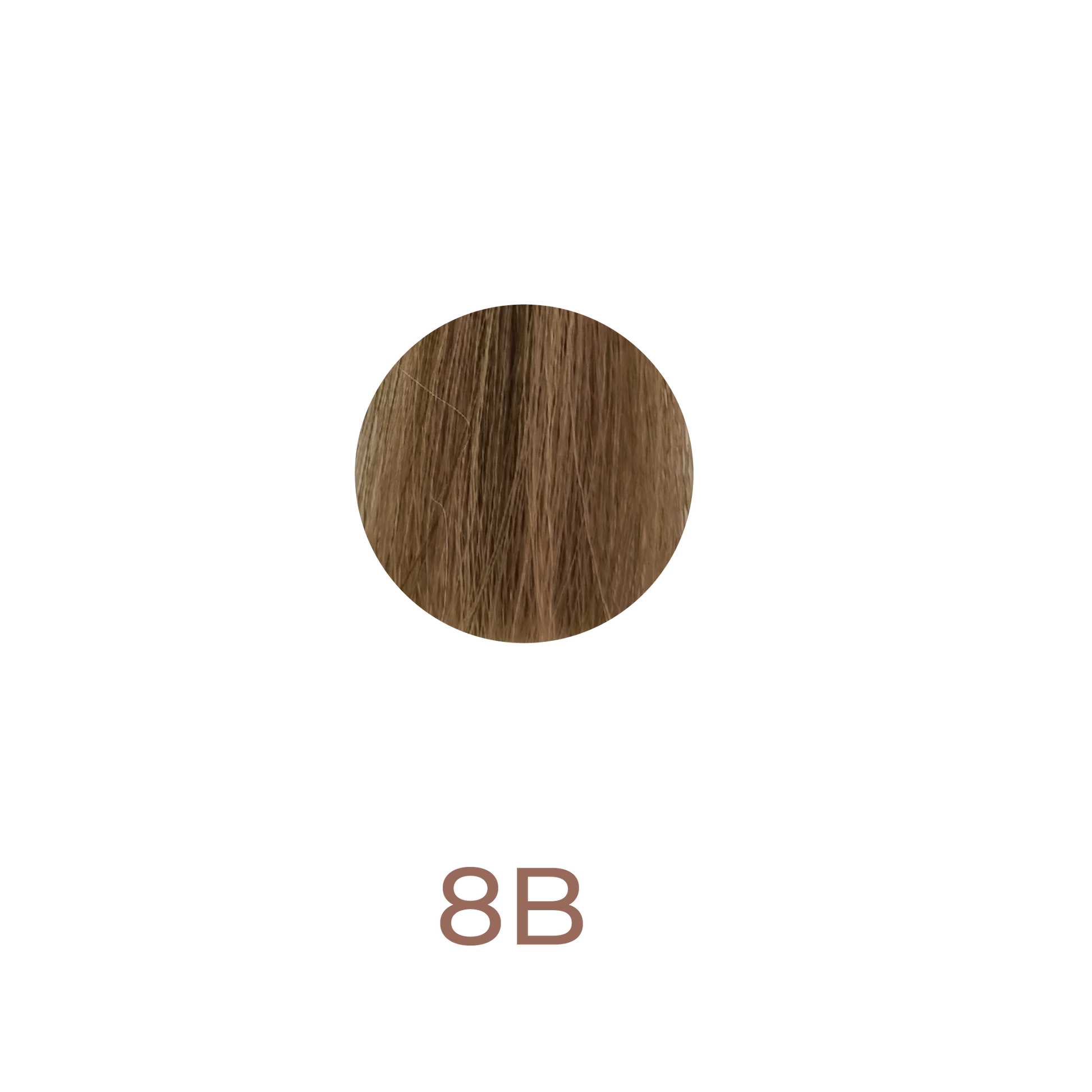 CHI Ionic Permanent Shine hair colours 8B Medium Beige Blond | Lika-J