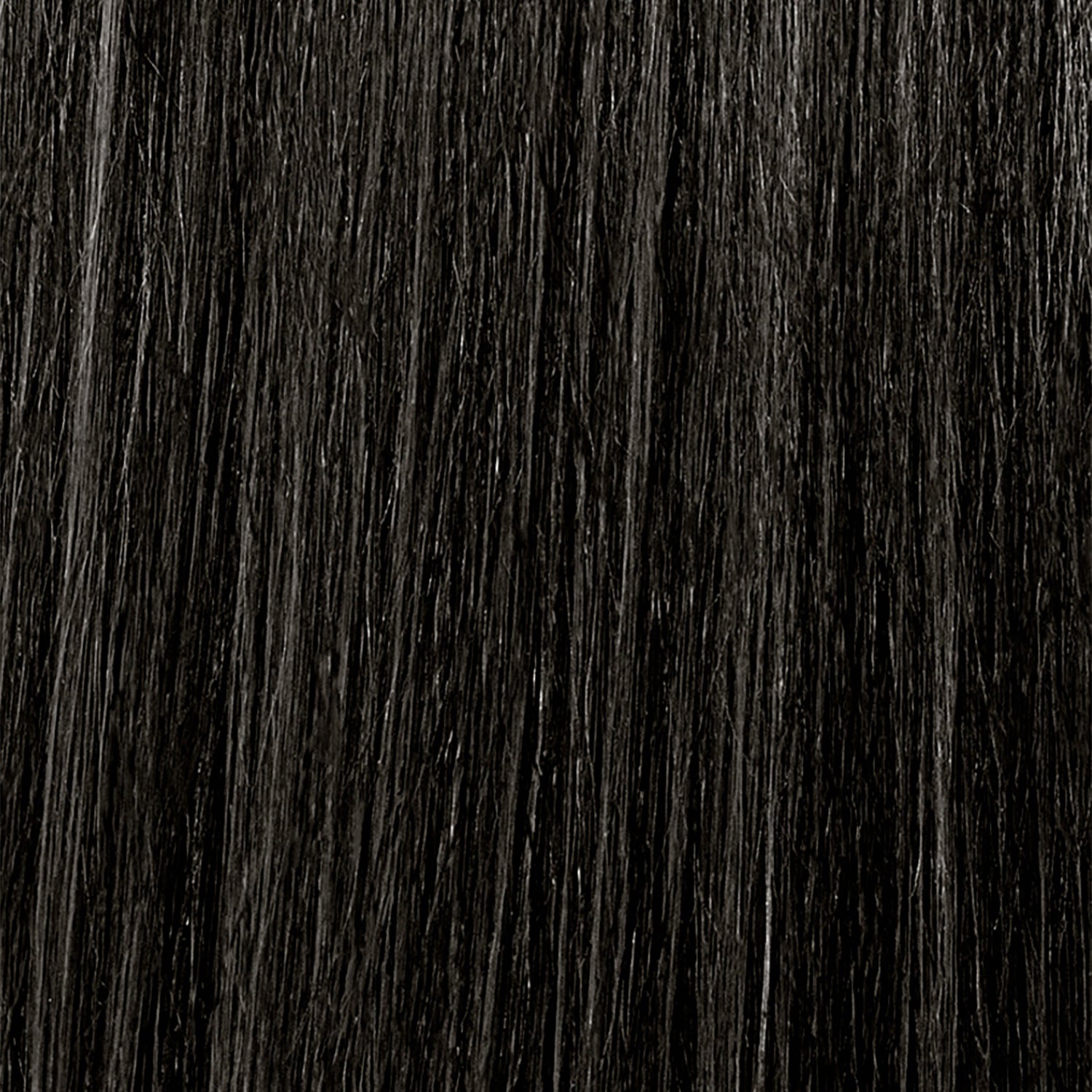 3N3.jpg?v=1734348350